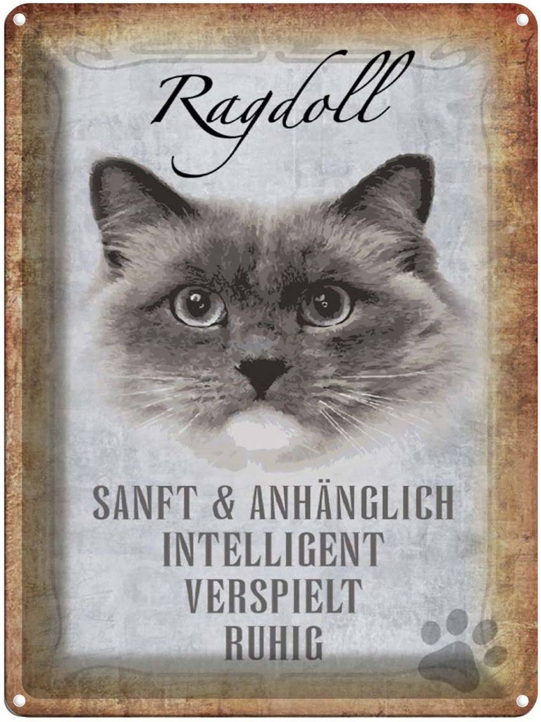 [LA-1790096] Blechschild 40x30 cm Ragdoll Katze sanft