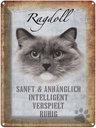 Blechschild 40x30 cm Ragdoll Katze sanft