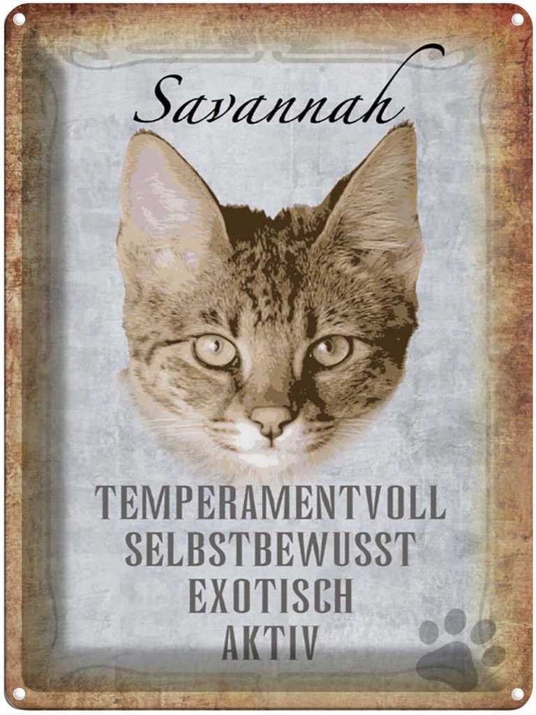 [LA-1790098] Blechschild 40x30 cm Savannah Katze exotisch