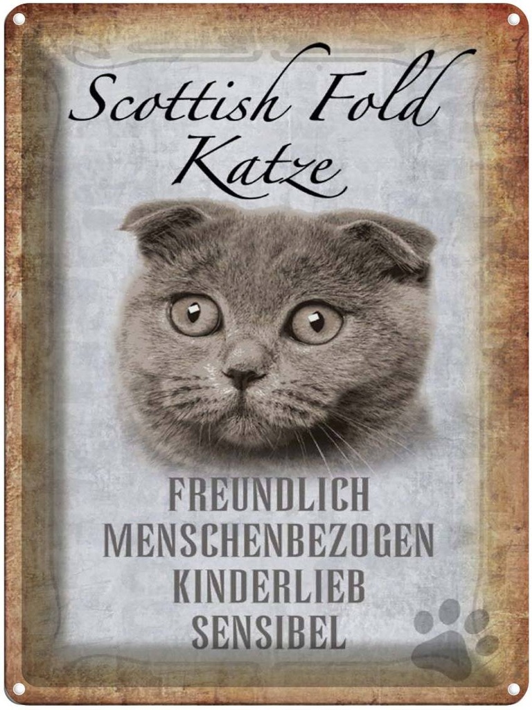 [LA-1790099] Blechschild 40x30 cm Scottish Fold Katze