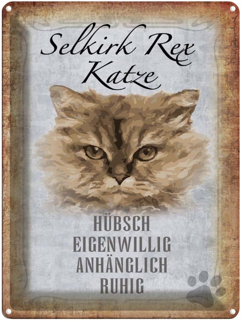 [LA-1790100] Blechschild 40x30 cm Selkirk Rex Katze ruhig