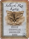 Blechschild 40x30 cm Selkirk Rex Katze ruhig