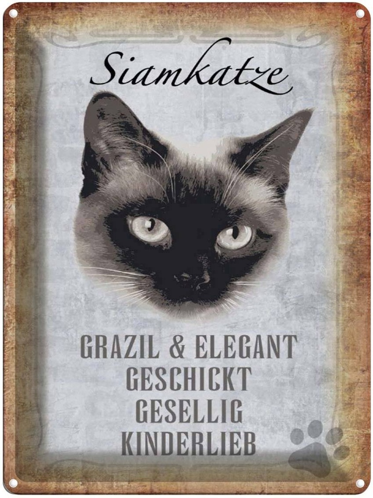 [LA-1790101] Blechschild 40x30 cm Siamkatze Katze grazil