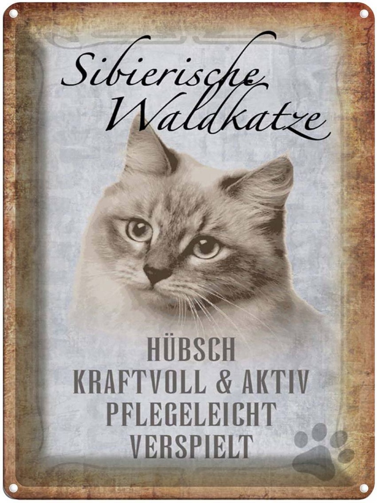 [LA-1790102] Blechschild 40x30 cm sibirische Waldkatze Katze Wand