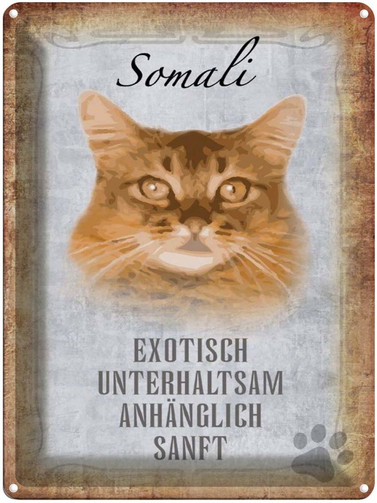 [LA-1790104] Blechschild 40x30 cm Somali Katze