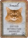 Blechschild 40x30 cm Somali Katze