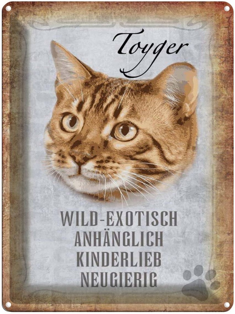 [LA-1790107] Blechschild 40x30 cm Toyger Katze Wandbild