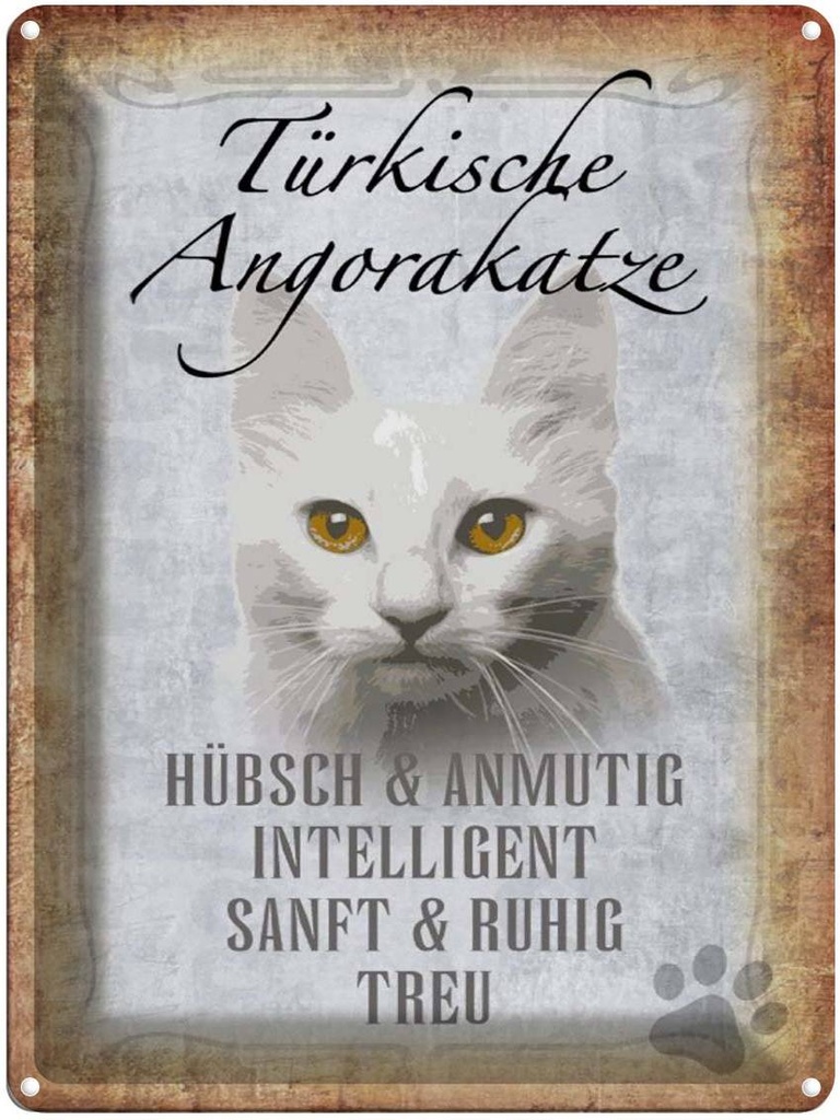 [LA-1790108] Blechschild 40x30 cm türkische Angorakatze Katze