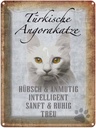 Blechschild 40x30 cm türkische Angorakatze Katze