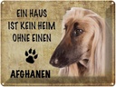 Blechschild 30x40 cm Afghanen Hund ohne kein Heim Spruch Zitat