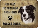 Blechschild 30x40 cm Border Collie Hund