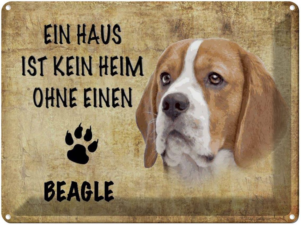 [LA-1790118] Blechschild 30x40 cm Beagle Hund ohne kein Heim