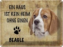 Blechschild 30x40 cm Beagle Hund ohne kein Heim
