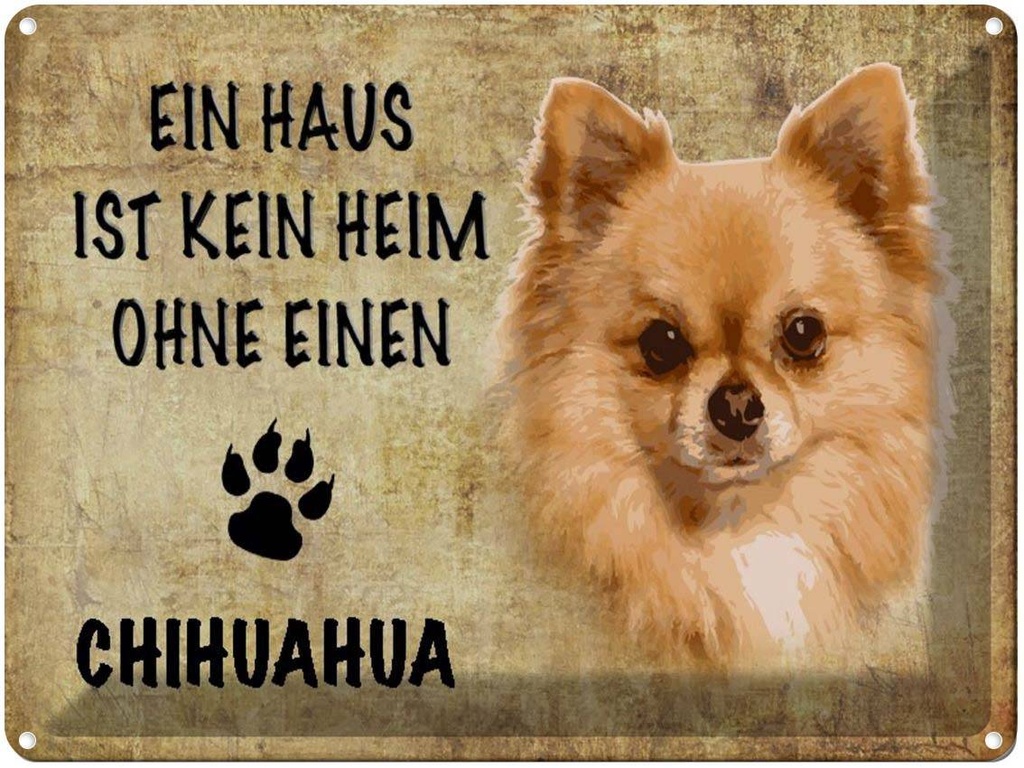 [LA-1790122] Blechschild 30x40 cm Chihuahua Hund ohne kein Heim