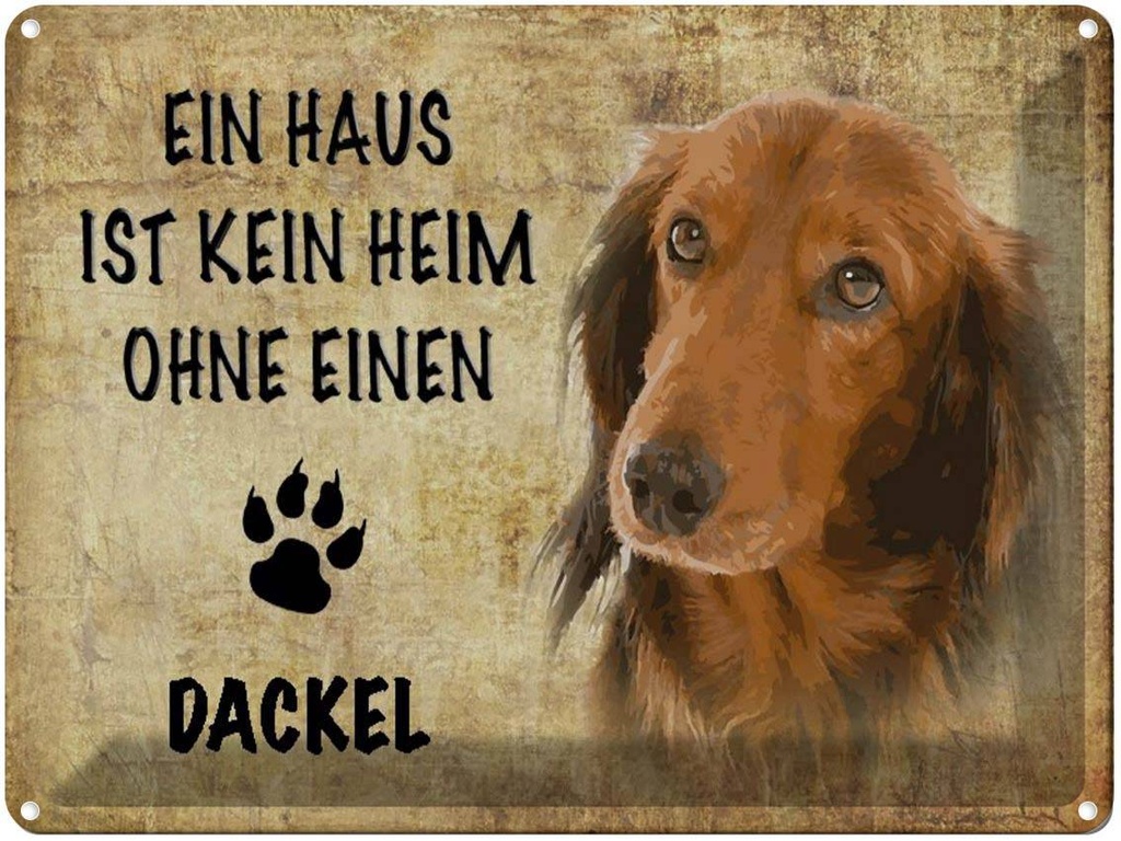 [LA-1790123] Blechschild 30x40 cm Dackel Hund ohne kein Heim