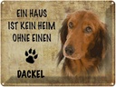 Blechschild 30x40 cm Dackel Hund ohne kein Heim