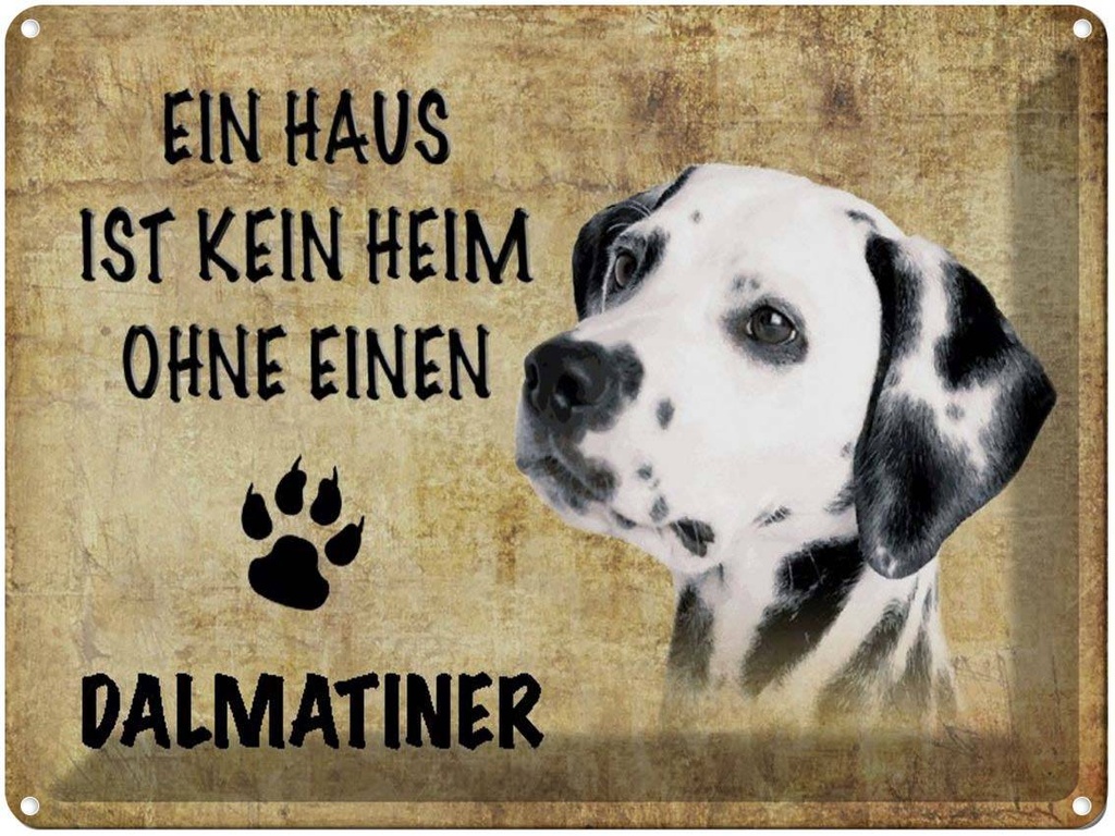 [LA-1790124] Blechschild 30x40 cm Dalmatiner Hund ohne kein Heim