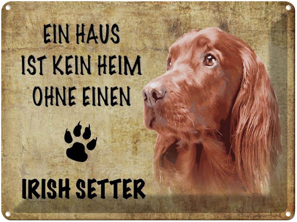 [LA-1790129] Blechschild 30x40 cm Irish Setter Hund