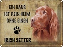 Blechschild 30x40 cm Irish Setter Hund