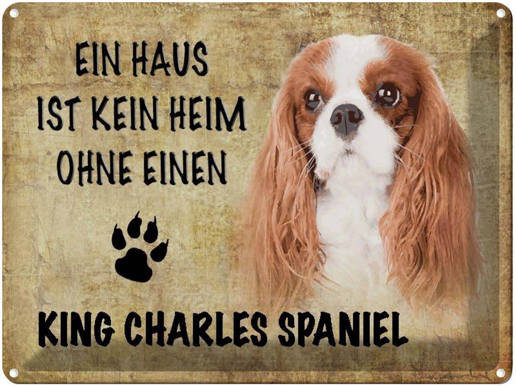 [LA-1790130] Blechschild 30x40 cm King Charles Spaniel Hund