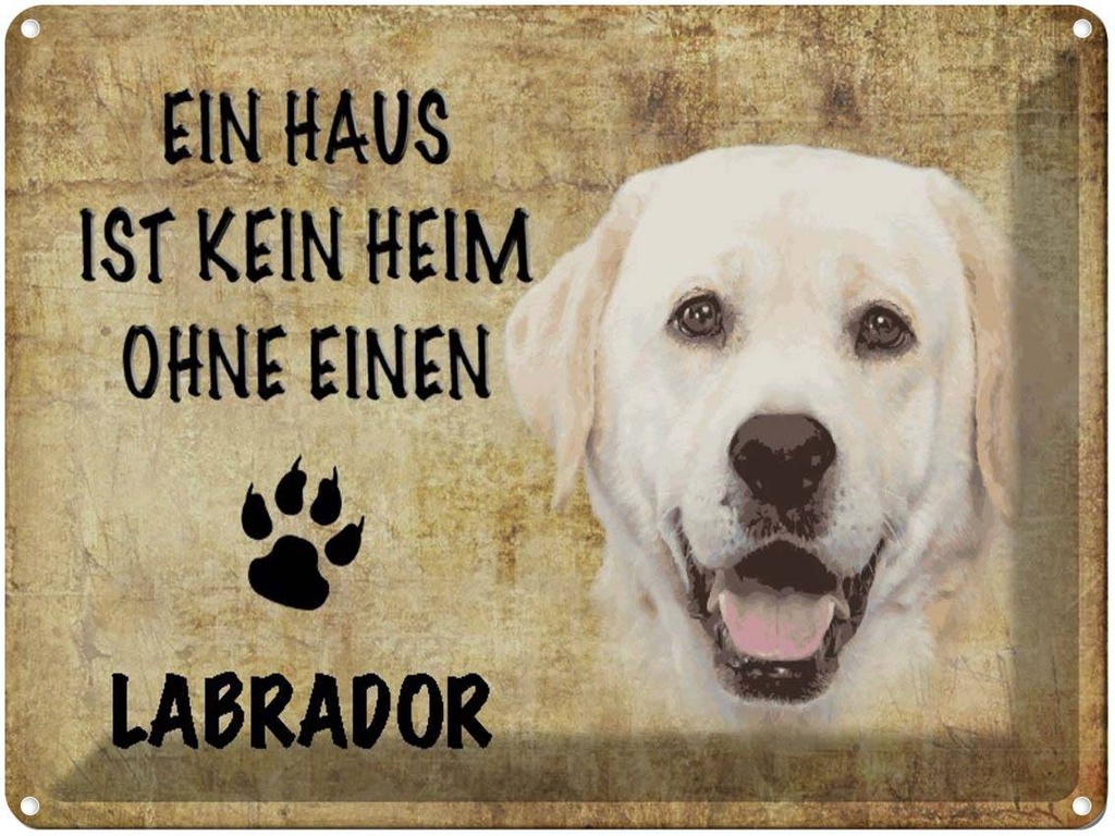 [LA-1790131] Blechschild 30x40 cm Labrador Hund ohne kein Heim