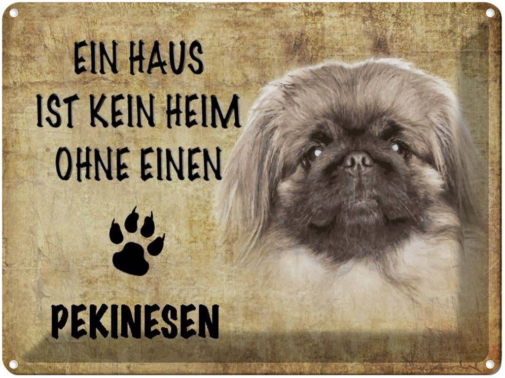 [LA-1790134] Blechschild 30x40 cm Pekinesen Hund ohne kein Heim