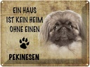 Blechschild 30x40 cm Pekinesen Hund ohne kein Heim