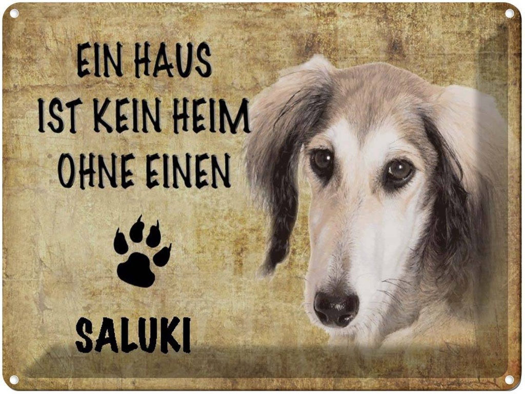 [LA-1790139] Blechschild 30x40 cm Saluki Hund ohne kein Heim