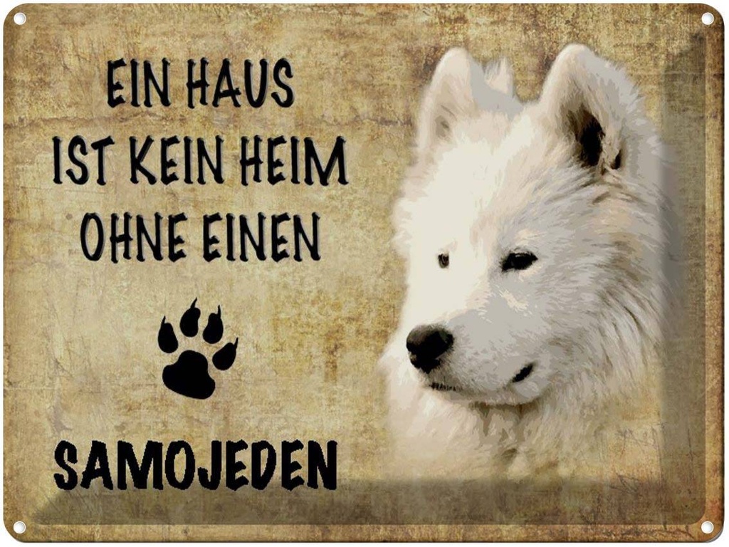 [LA-1790140] Blechschild 30x40 cm Samojeden Hund ohne kein Heim