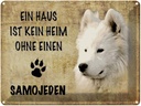 Blechschild 30x40 cm Samojeden Hund ohne kein Heim