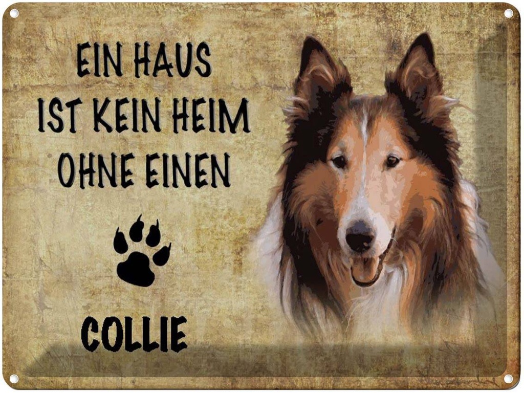 [LA-1790150] Blechschild 30x40 cm Collie Hund