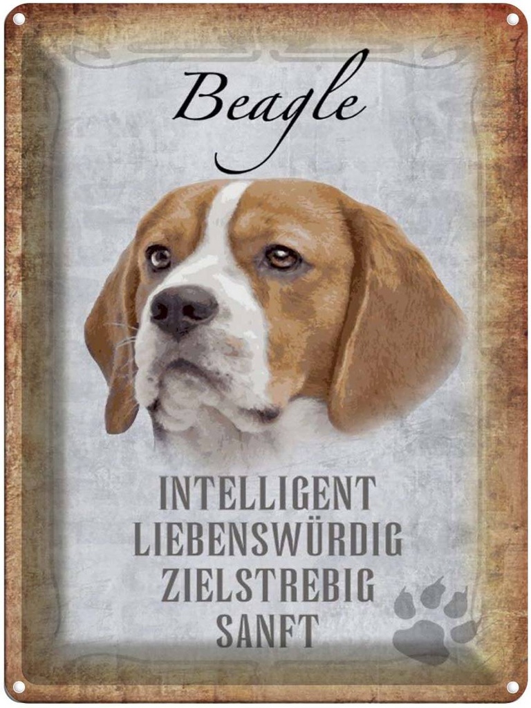 [LA-1790153] Blechschild 40x30 cm Beagle Hund