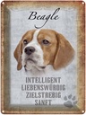 Blechschild 40x30 cm Beagle Hund