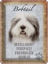 Blechschild 40x30 cm Bobtail Hund verspielt