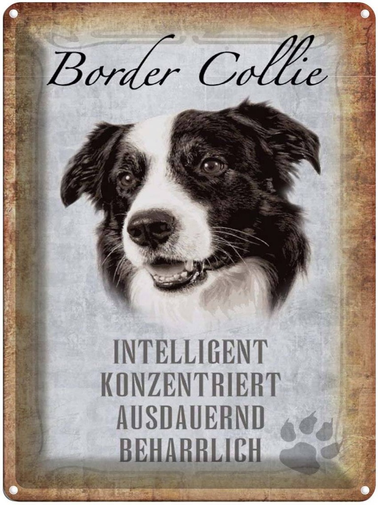 [LA-1790156] Blechschild 40x30 cm Border Collie Hund