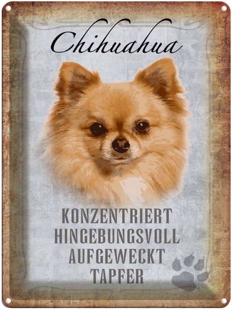 [LA-1790160] Blechschild 40x30 cm Chihuahua Hund tapfer