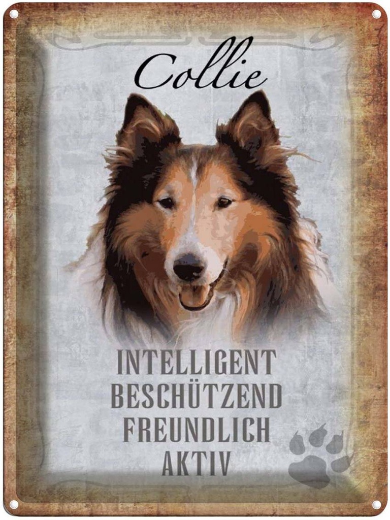 [LA-1790162] Blechschild 40x30 cm Collie Hund freundlich