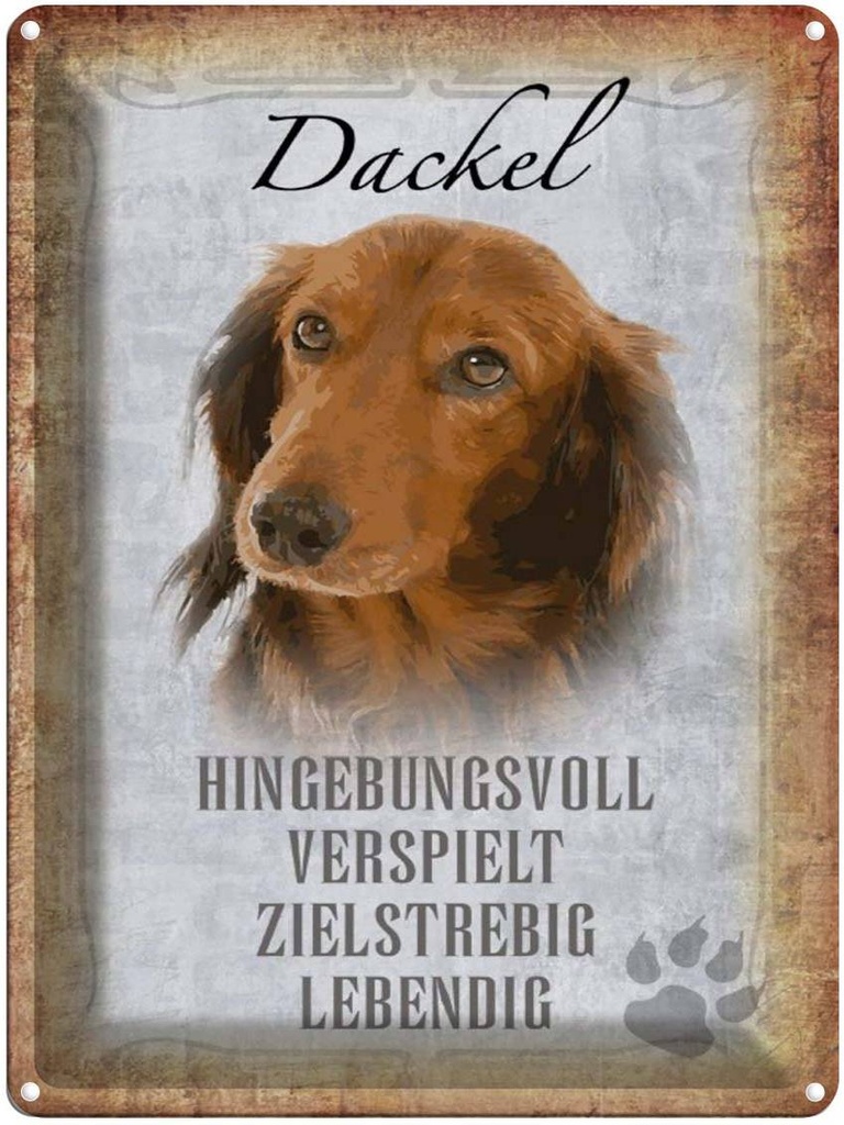 [LA-1790163] Blechschild 40x30 cm Dackel Hund lebendig