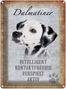Blechschild 40x30 cm Dalmatiner Hund