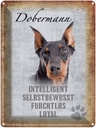 Blechschild 40x30 cm Dobermann Hund loyal