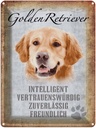 Blechschild 40x30 cm Golden Retriever Hund