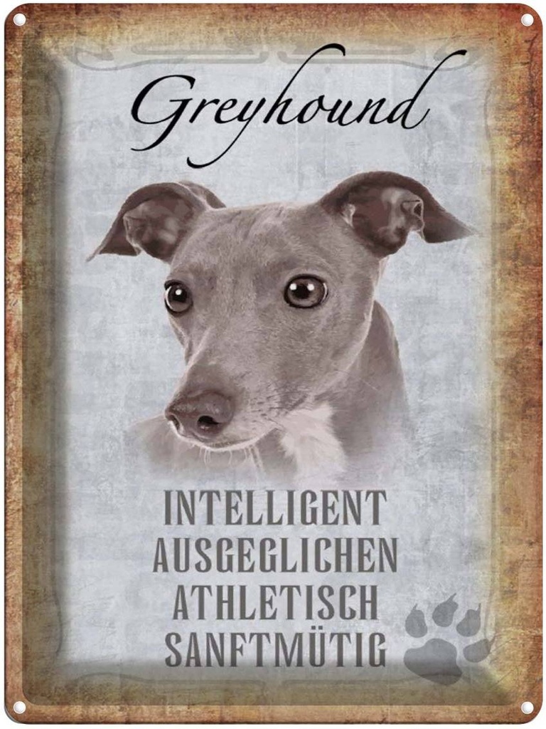 [LA-1790169] Blechschild 40x30 cm Greyhound Hund