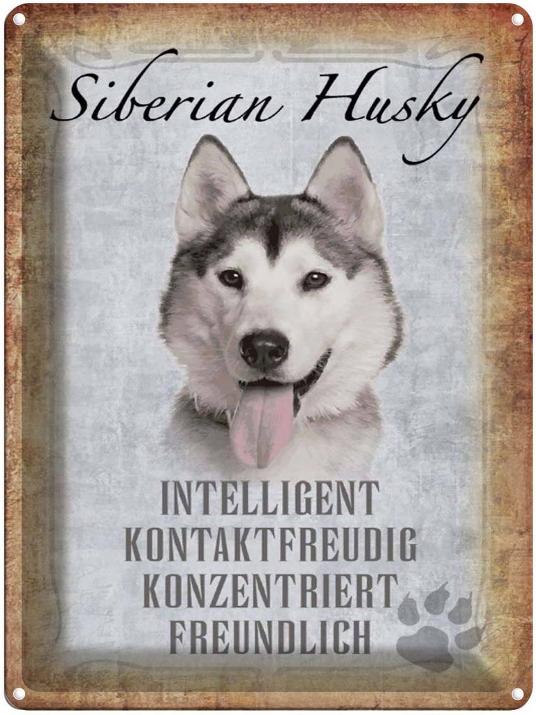 [LA-1790170] Blechschild 40x30 cm Siberian Husky Hund