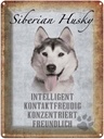 Blechschild 40x30 cm Siberian Husky Hund