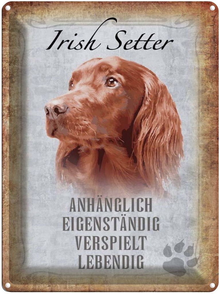 [LA-1790171] Blechschild 40x30 cm Irish Setter Hund