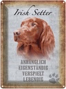 Blechschild 40x30 cm Irish Setter Hund