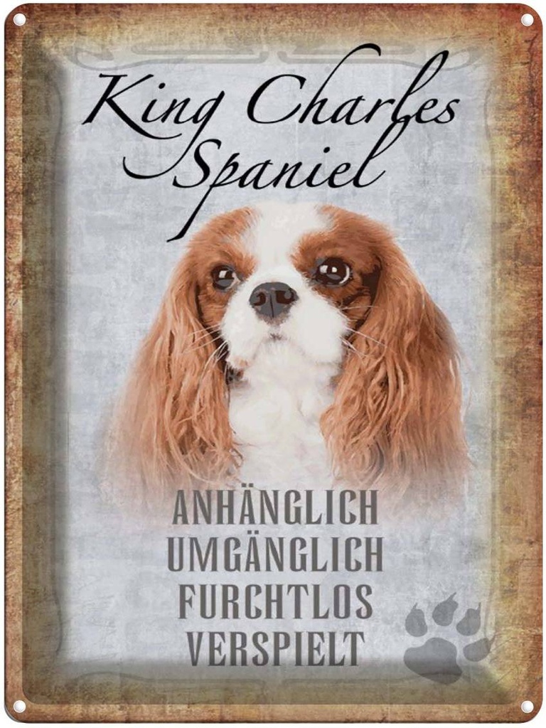 [LA-1790172] Blechschild 40x30 cm King Charles Spaniel Hund