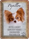 Blechschild 40x30 cm Papillon Hund