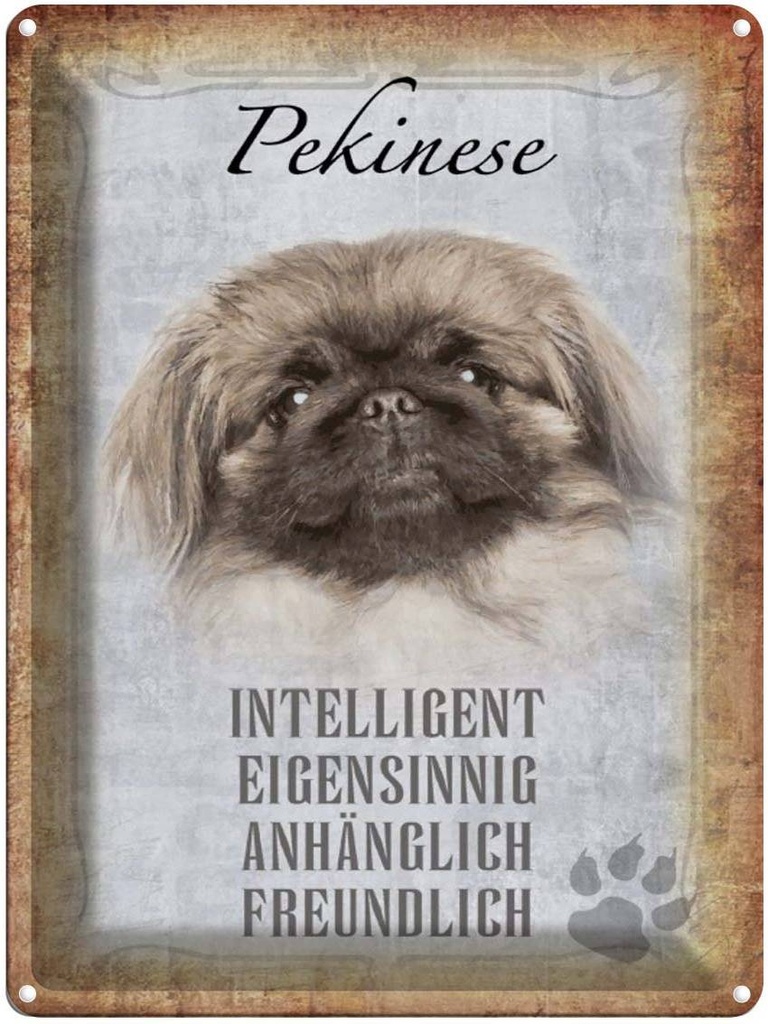 [LA-1790176] Blechschild 40x30 cm Pekinese Hund