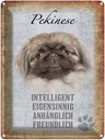 Blechschild 40x30 cm Pekinese Hund